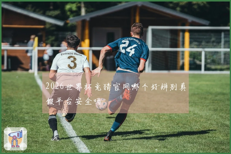 2026世界杯竞猜官网哪个好辨别真假平台安全吗